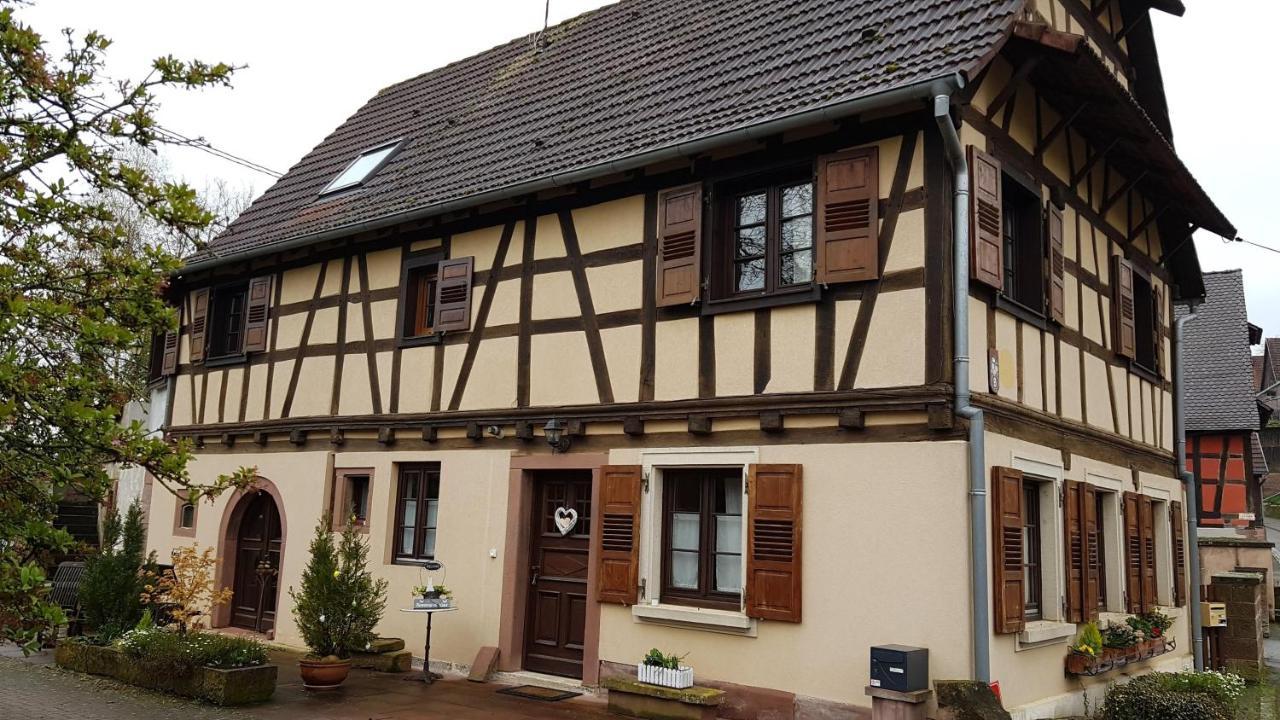 Gite A La Petite Fontaine-Plain Pied-Maison Alsacienne Renovee Avec Passion-4 Pers-4Nuitees Minimum Langensoultzbach Экстерьер фото