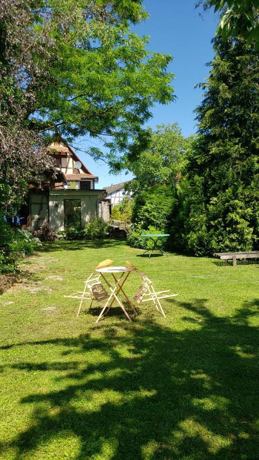Gite A La Petite Fontaine-Plain Pied-Maison Alsacienne Renovee Avec Passion-4 Pers-4Nuitees Minimum Langensoultzbach Экстерьер фото