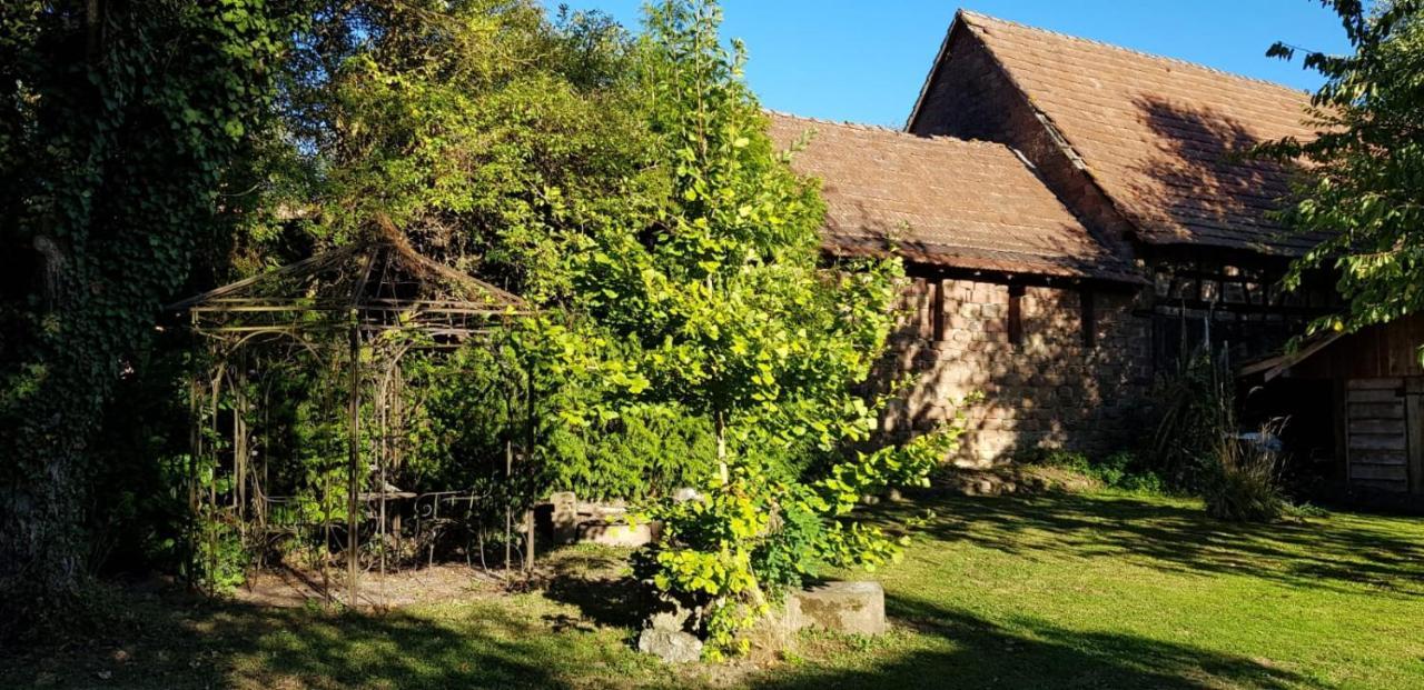 Gite A La Petite Fontaine-Plain Pied-Maison Alsacienne Renovee Avec Passion-4 Pers-4Nuitees Minimum Langensoultzbach Экстерьер фото