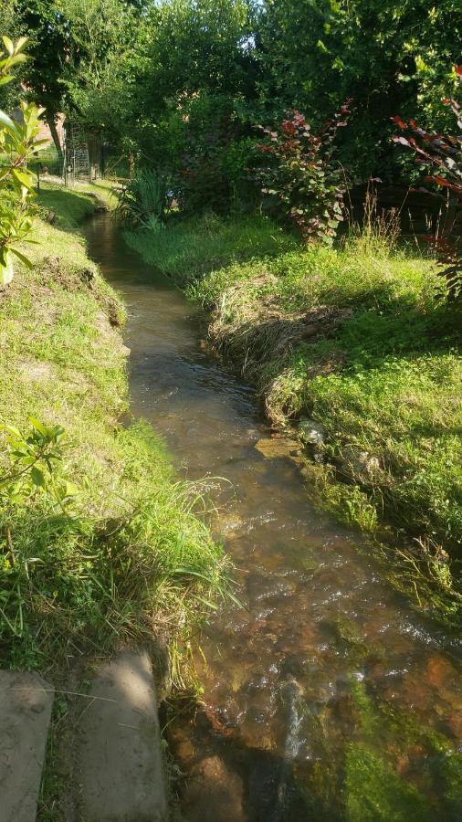 Gite A La Petite Fontaine-Plain Pied-Maison Alsacienne Renovee Avec Passion-4 Pers-4Nuitees Minimum Langensoultzbach Экстерьер фото