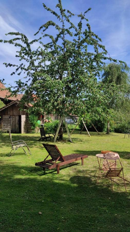 Gite A La Petite Fontaine-Plain Pied-Maison Alsacienne Renovee Avec Passion-4 Pers-4Nuitees Minimum Langensoultzbach Экстерьер фото
