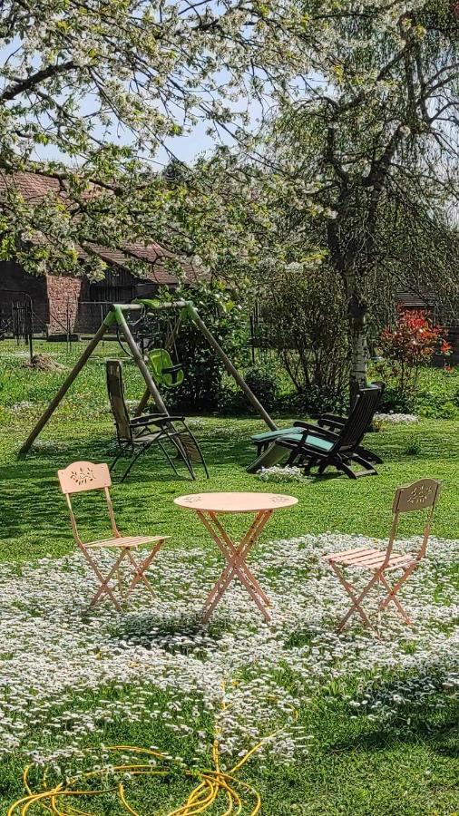 Gite A La Petite Fontaine-Plain Pied-Maison Alsacienne Renovee Avec Passion-4 Pers-4Nuitees Minimum Langensoultzbach Экстерьер фото